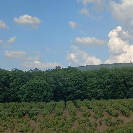 Il Sartore Vetralla Zewnętrze zdjęcie