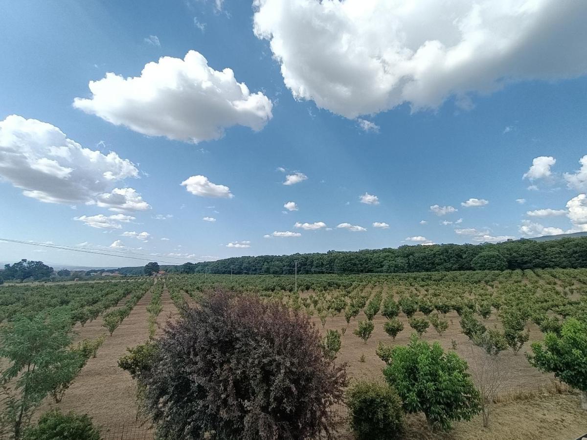 Il Sartore Vetralla Zewnętrze zdjęcie